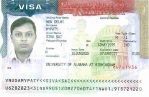 Sivasaivisa